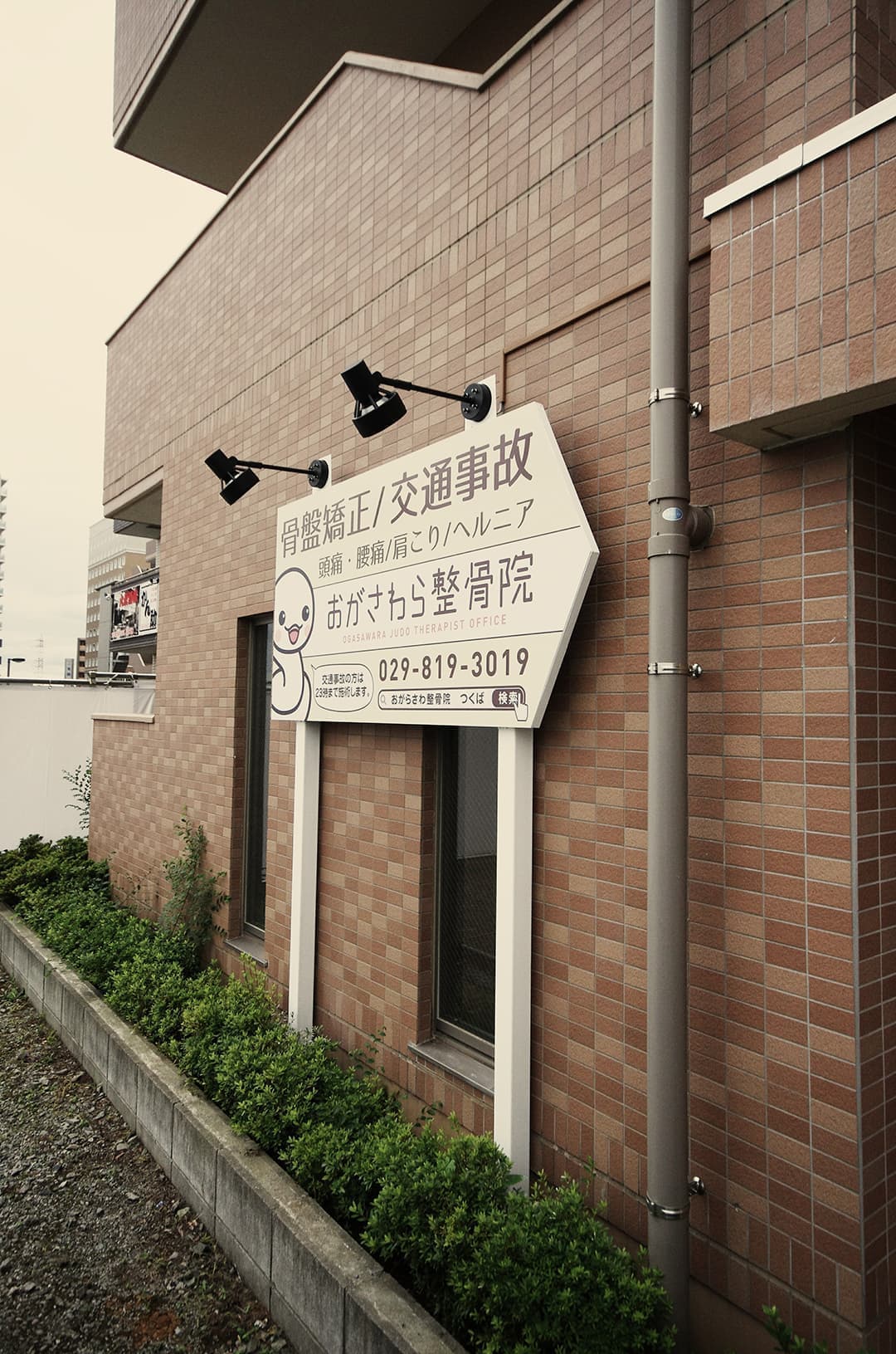 外観